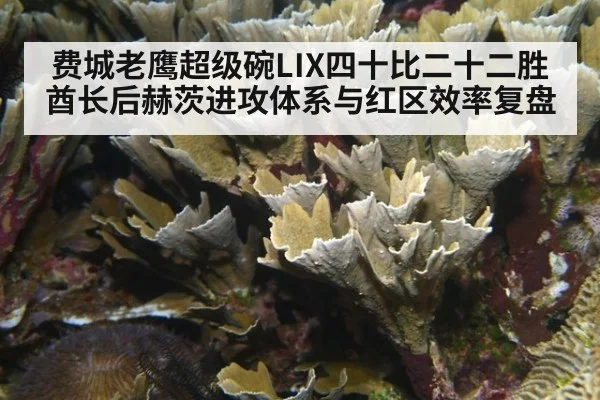 费城老鹰超级碗LIX四十比二十二胜酋长后赫茨进攻体系与红区效率复盘
